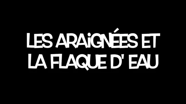 Les araignées et la flaque d'eau