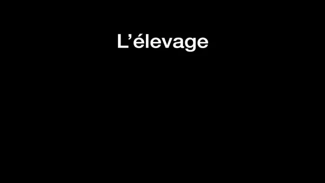 L'élevage, la conservation et la préparation des aliments