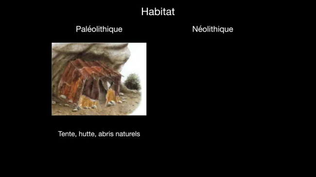 Synthèse_Néolithique
