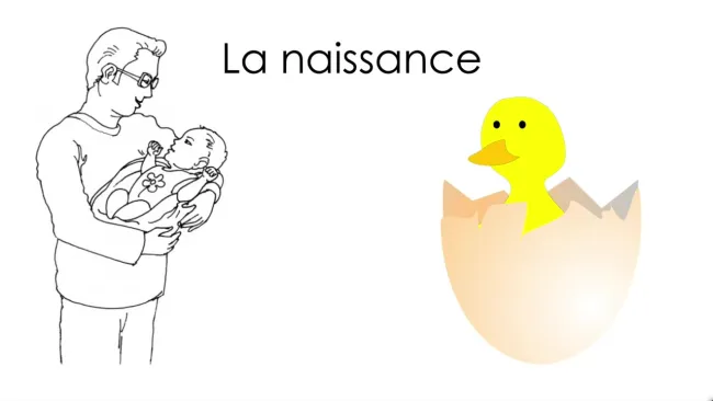 les besoins des animaux (3H)