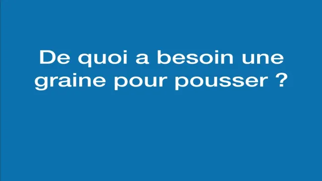 Présentation des besoins de la graine