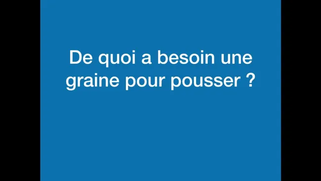 Présentation des besoins de la graine