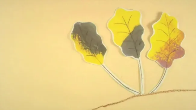 La promenade de Flaubert (vidéo)