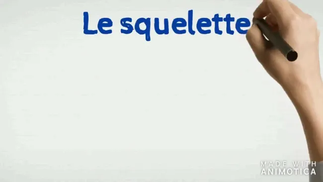 Locomotion et mouvement : squelette, articulations et muscles