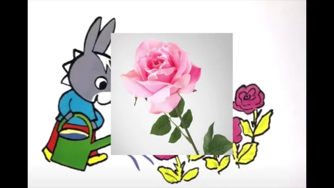 Les fleurs de chez nous