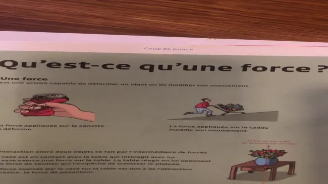 Video n° 3: Explications sur les forces
