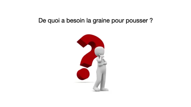 capsule 1 - expérience