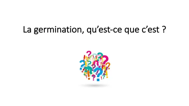 Introduction-germination