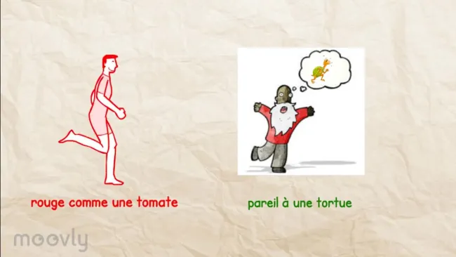 Comparaisons et métaphores