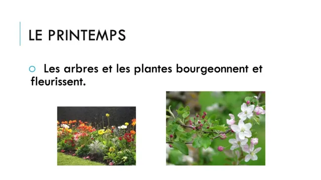 Les caractéristiques des saisons