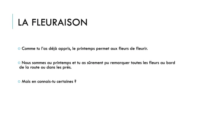 5 fleurs du printemps