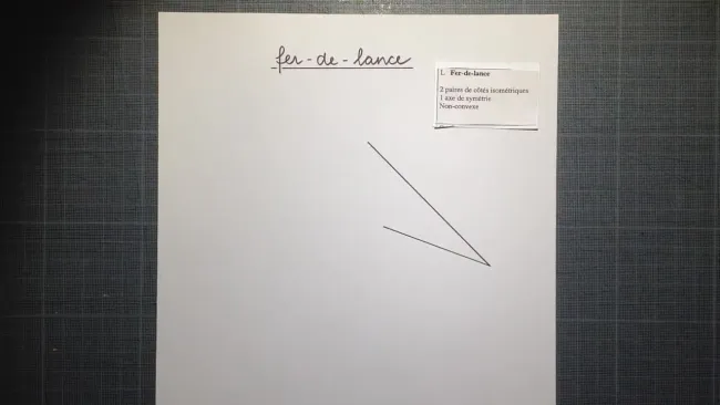 7P quadrilatère - fer de lance