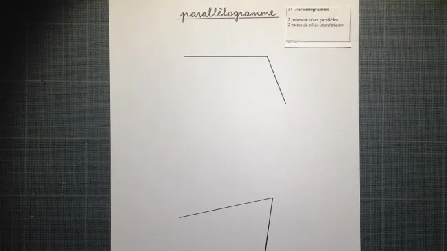 7P quadrilatère - parallélogramme