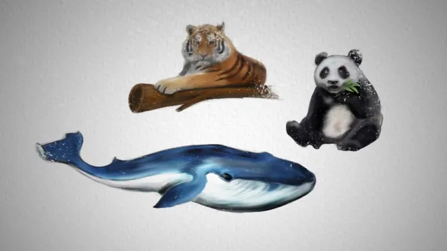 teaser_baisse_biodiversite