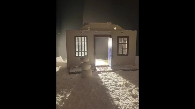 Bonhommes de neige