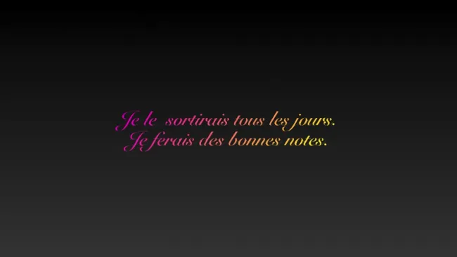 Le journal d'Anissa