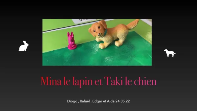 8P + 2P/MF5: Mina le lapin et Taki le chien