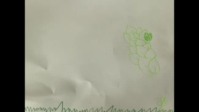 Les couleurs se disputent dans la classe MG1