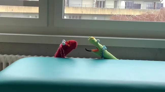 Socke Abby und Emy