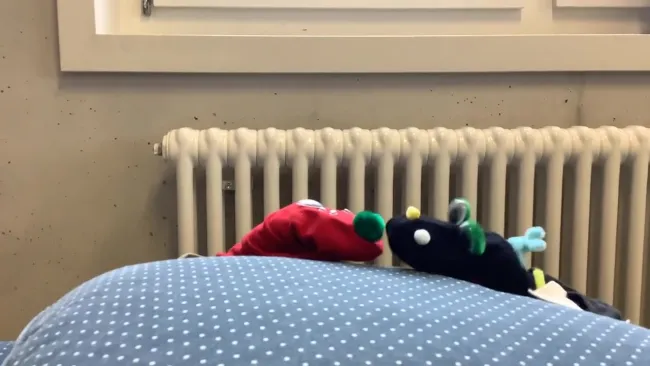 Socke Liam und Malo