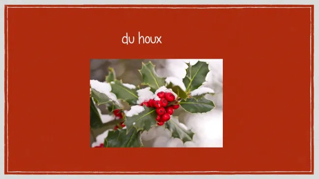 Devinettes de Noël 