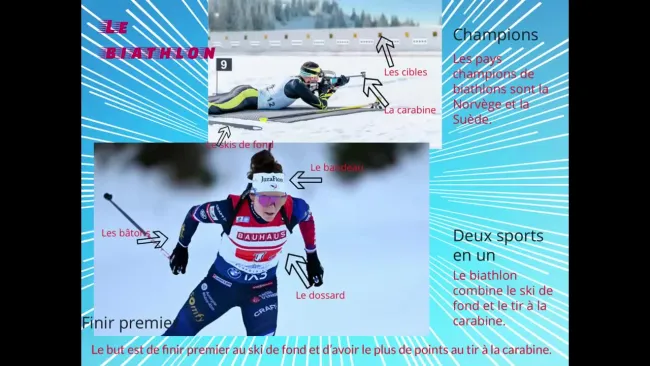 Les sports olympiques