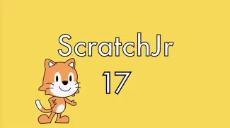 17