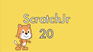 20