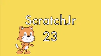 23