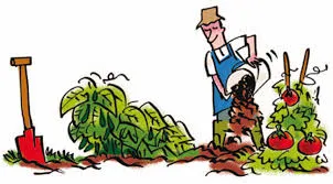 Projet potager du MATAS