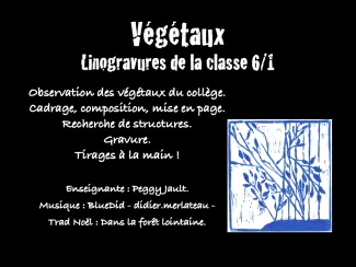 Végétaux - Linogravure