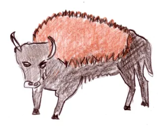 le bison