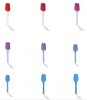 10VP3 & 10VP4 - Volée 2016-2017