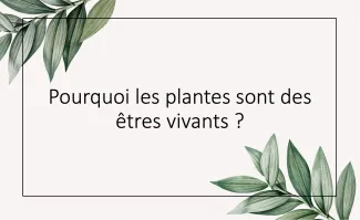 Pourquoi les plantes sont des êtres vivants ?