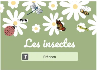 Les insectes