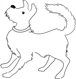 der Hund, die Hunde