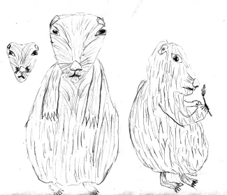 chien de prairie