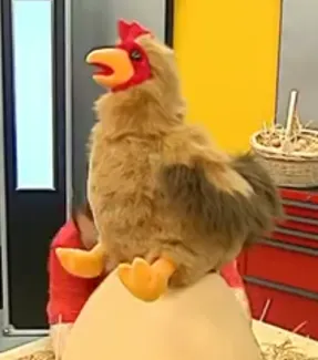 c'est pas sorcier "l'oeuf"