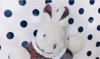 26 lapins sèment la pagaille