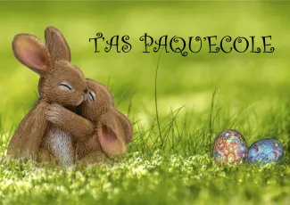 T'as Pâqu'école2ème partie