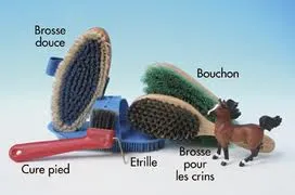 Les brosses des chevaux