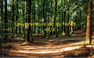Livre documentaire "Les animaux de la forêt" 4P/3