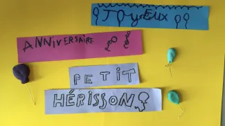 Joyeux anniversaire petit Hérisson