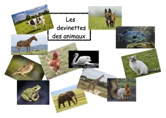 Les devinettes des animaux