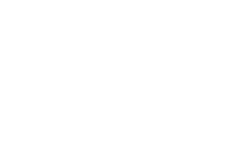 Luge