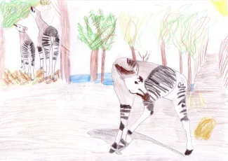 l'okapi