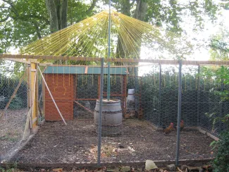 Le Coquetier