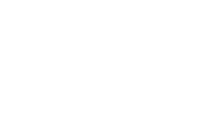Skeleton