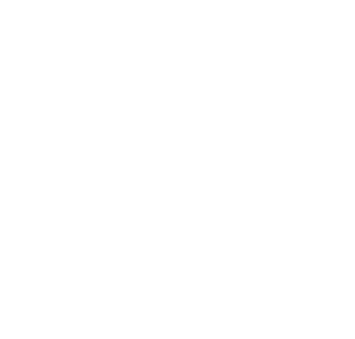 Snowboard