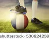 L'équipe de France de football